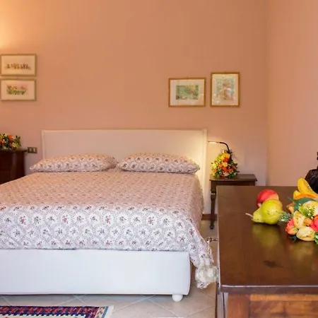 فيلة Ametista